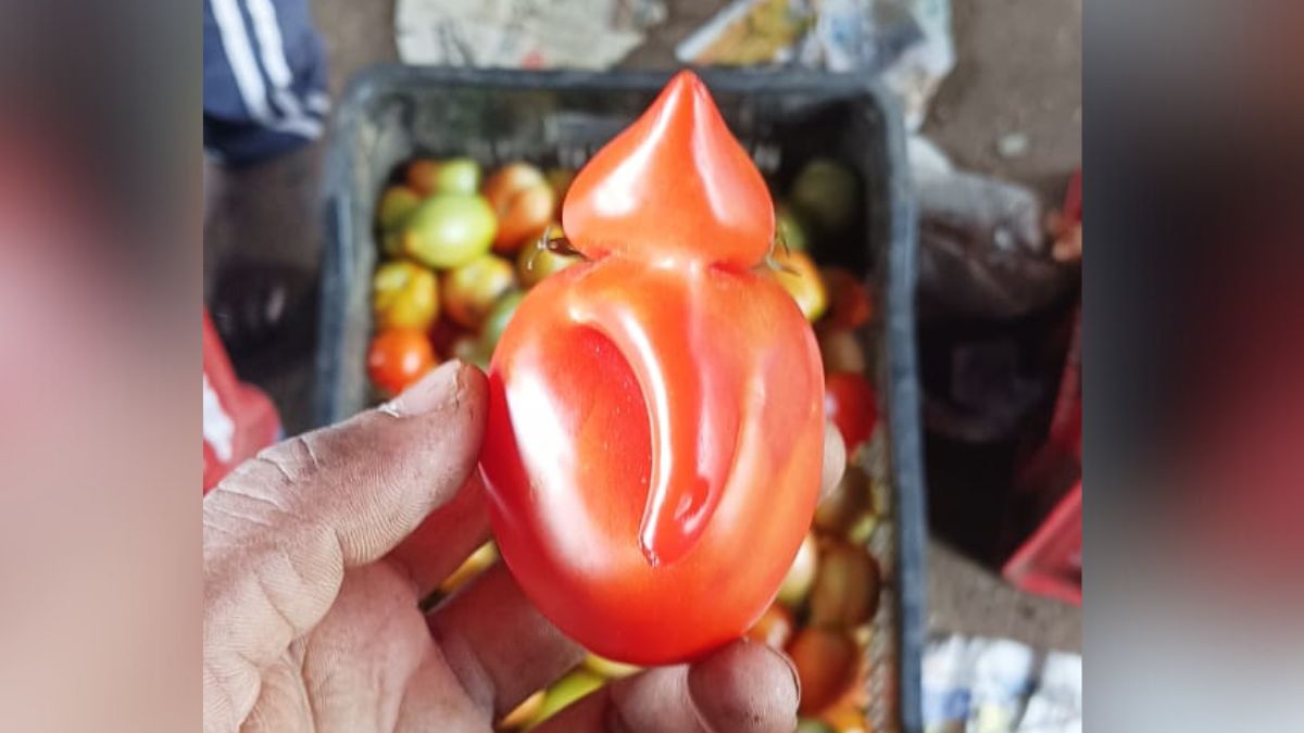 replica of Ganpati Bappa in tomato