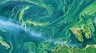 oceans changing colour due to climate change