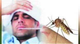 huge increase number dengue malaria patients