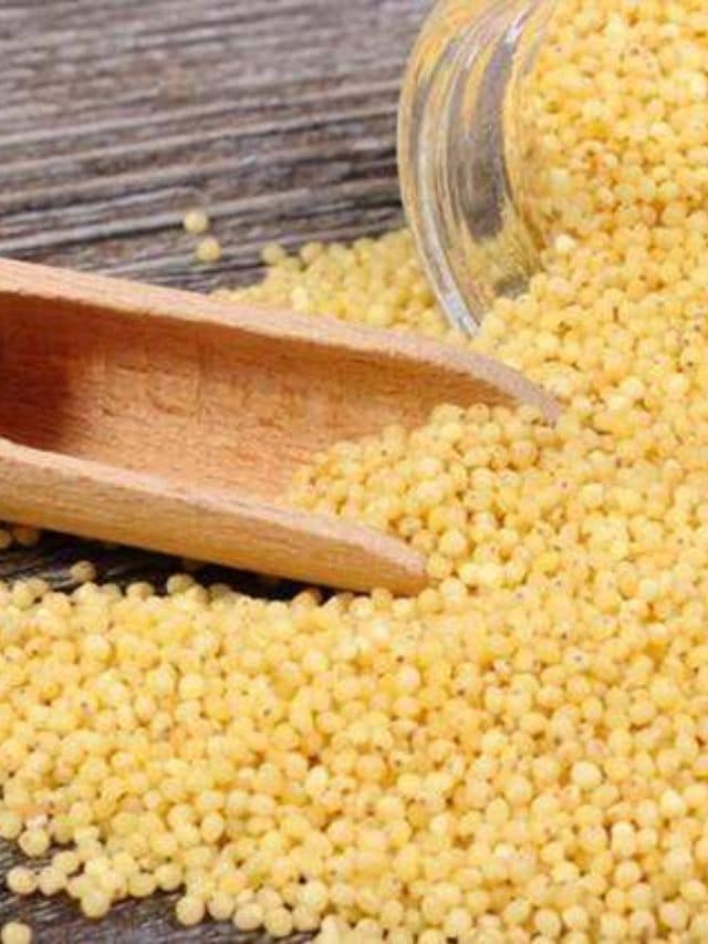 Kodo millet contains a large amount of lecithin and is excellent for strengthening the nervous system.
