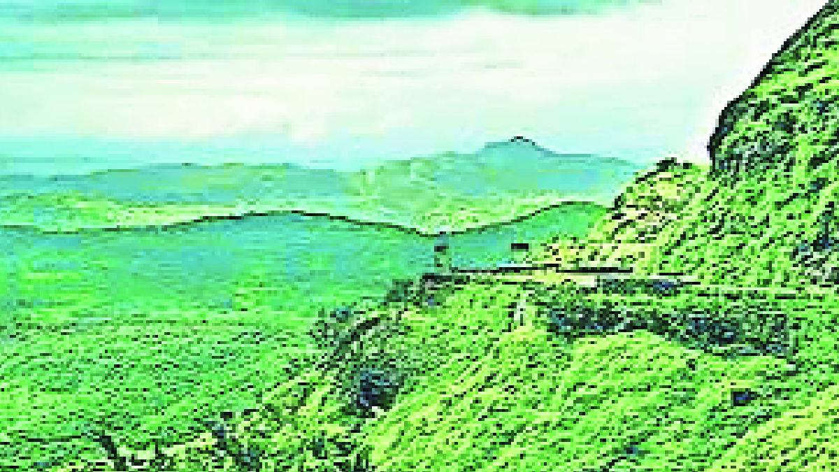 पश्चिम घाटात भूस्खलनाच्या प्रमाणात वाढ; शिवाजी विद्यापीठातील भूगोल