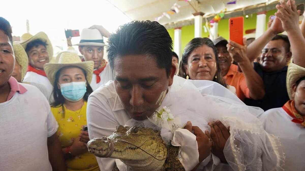 maxican mayor married to crocodile