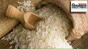 non basmati rice export ban