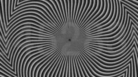 Optical Illusion do you see hidden numbers in the photo click on puzzle goes viral