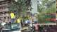 tree electric pole fall down in dombivli