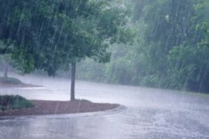 rain