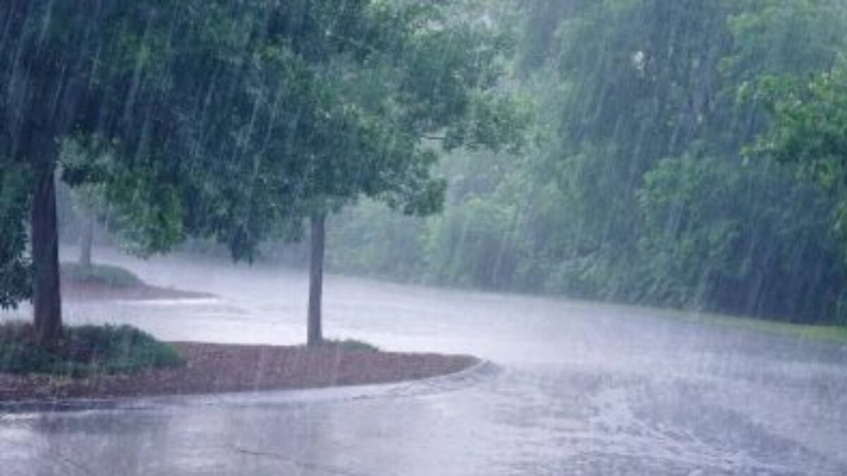 rain