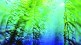 sea trees