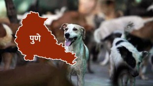 four dogs died food poisoning stray dogs katraj area pune
