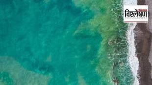 why-oceans-are-changing-their-colour