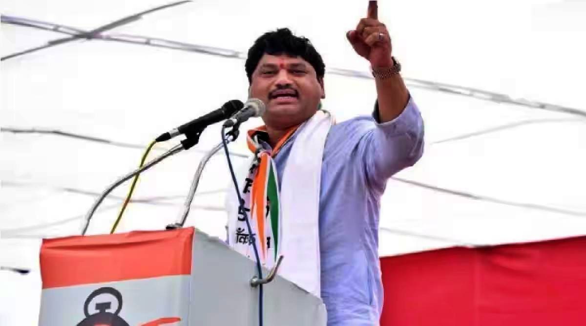मनसेने तोडफोड करायची की आणखी काही हा त्यांचा निर्णय आहे - धनंजय मुंडे