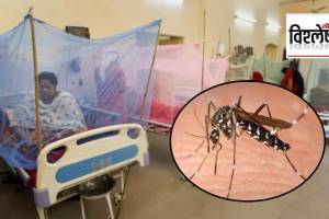 Dengue vaccines in India