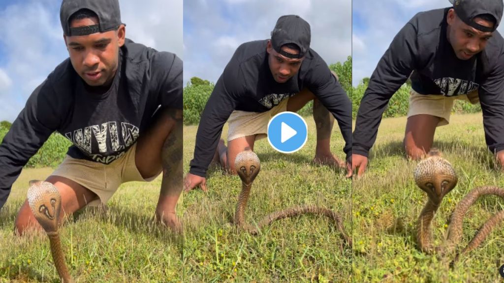Indian Cobra Attacks A Man Video