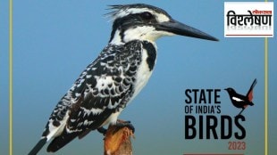 Indian Report on the Bird Census