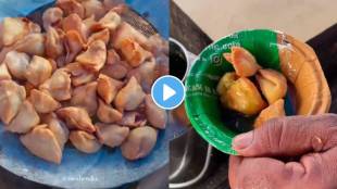 In Viral Video Man Make One Rupees Samosa.
