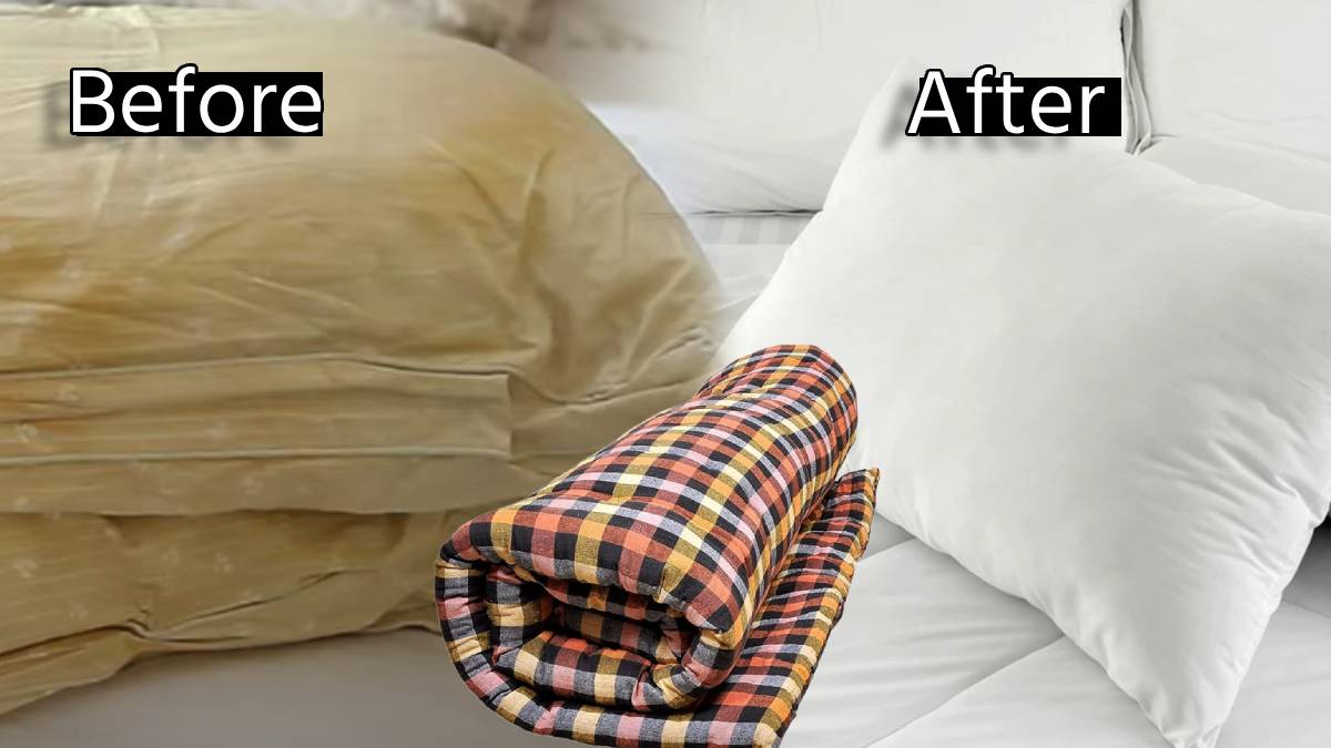 Rainy Days Bad Smell Pillows and Mattress Remove Stinking in just 10