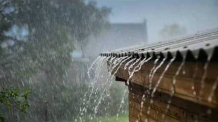 Heavy rain Chandrapur district