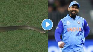 Snake Enters Match Video Viral