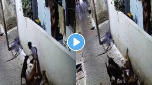 In Jhansi, Uttar Pradesh, 5 aggressive stray dogs brutally attacked an innocent 7 years old child video viral on social media