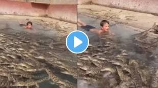 child jumps in swimming pool full with hundreds crocodiles see what happens next video viral