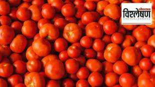 Tomato Price