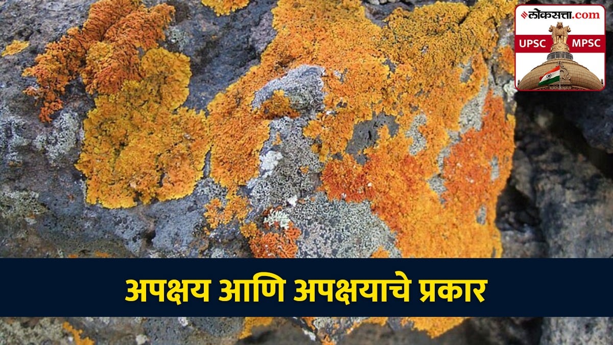 weathering in marathi, types of weathering