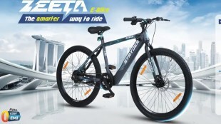 Zeeta e bikes