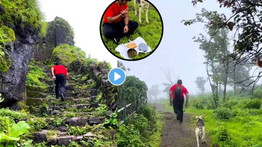 marathi actor shared monsoon treak video and show beauty of Sahyadri mountain ranges