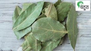 bay leaves