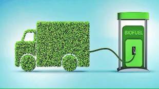 world biofuel day 2023 biofuels alternative energy source importance of biofuels for india