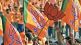 bjp logo