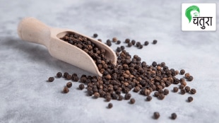 black pepper effective cold cough, contains good nutrition