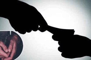 special auditor dhule caught red-handed accepting bribe