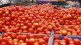 Tomato, Navi Mumbai, APMC, Inflow of Tomatoes, Tomato price, Per kg rate