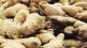 Ginger, Ginger rates, Navi Mumbai Market, Navi Mumbai, Fresh ginger in market