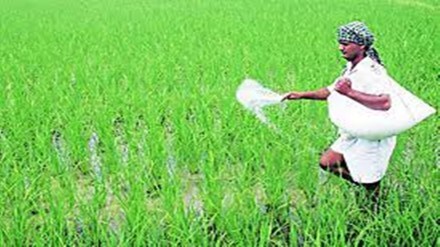 urea fertilizer shortage in akola