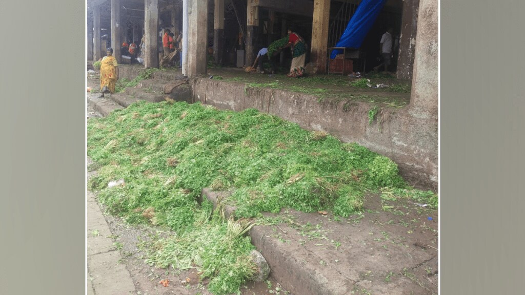 coriander arrivals increased APMC