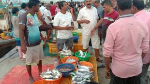 Karanja port, fish market, Uran, cheap and fresh fish