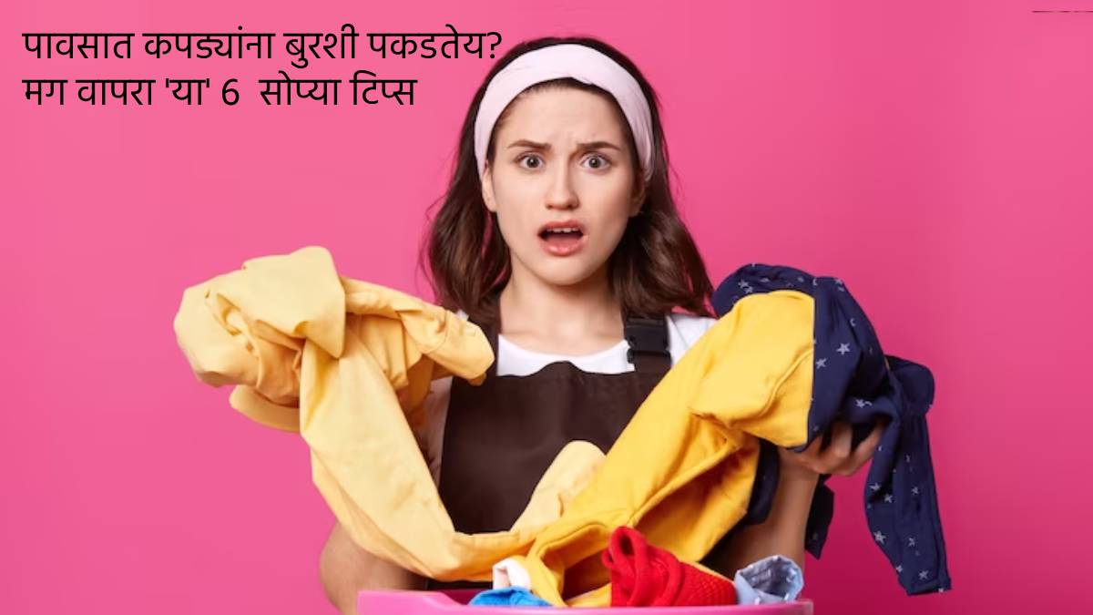 tips and tricks how to remove fungus stain from clothes in rainy season