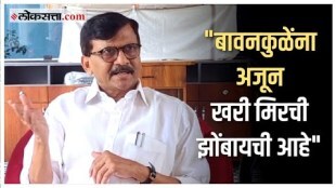 shivsena mp sanjay raut criticism bjp state president chandrashekhar bawankule