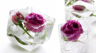 How To Make Rose Water or gulab jal ice cuebs Face Pack snk 94