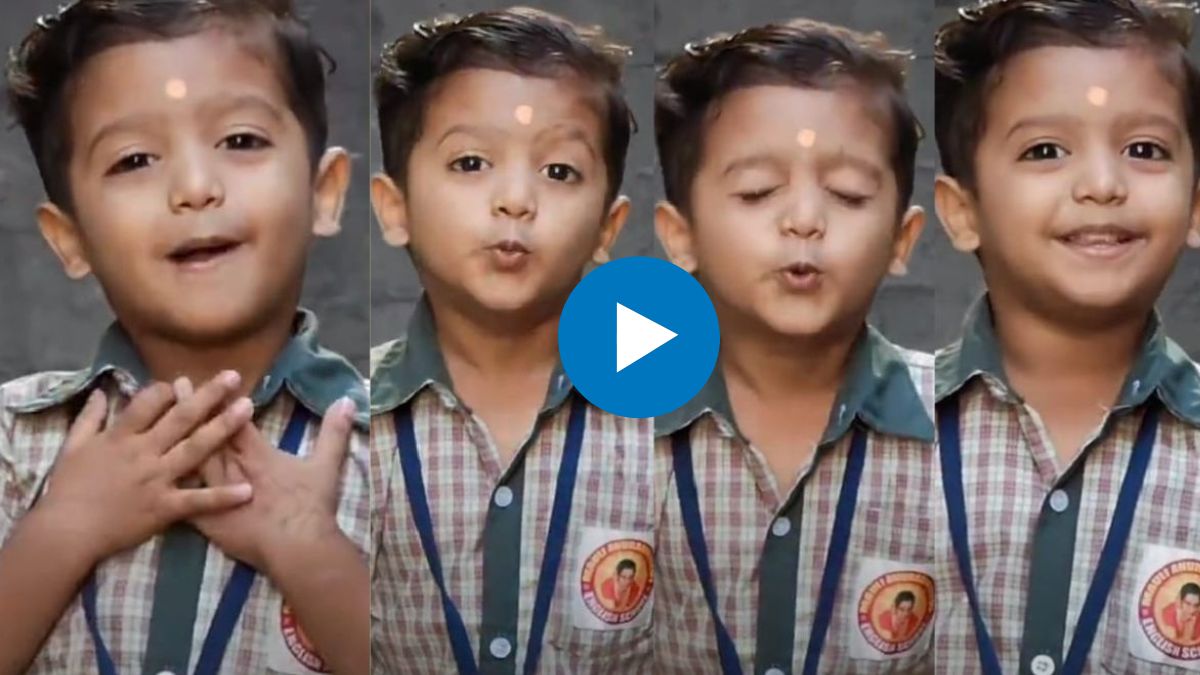 instagram Viral Video