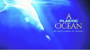 kutuhal plastic ocean