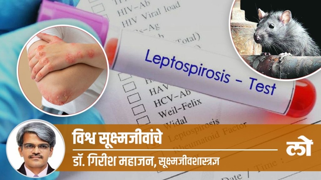 Leptospirosis