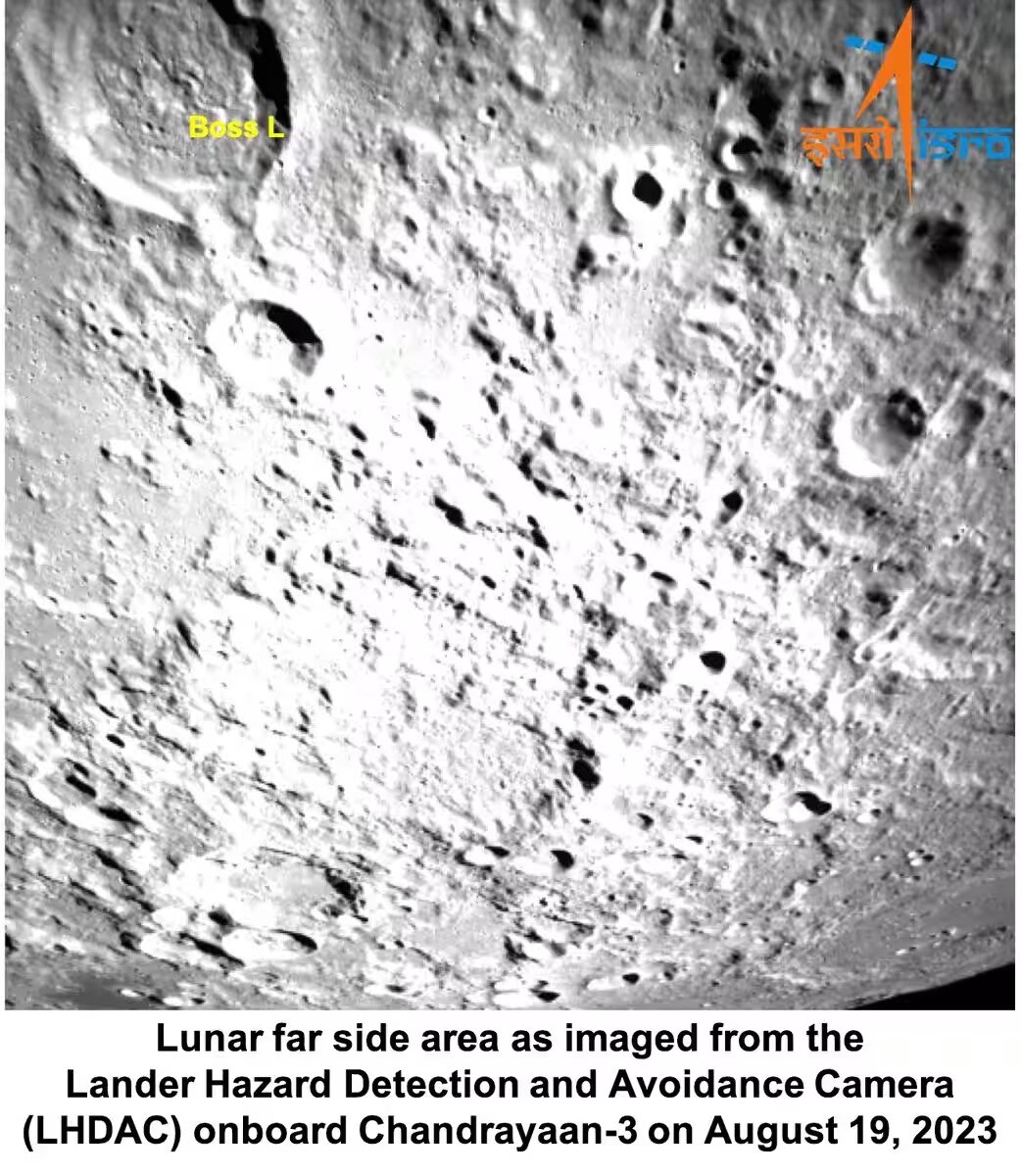 miraculous plants can survive on the moon