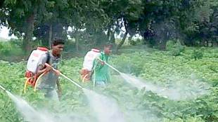 farmers get jail terms of six months if use dangerous pesticides