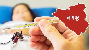 east vidarbha number dengue victims crossed 250
