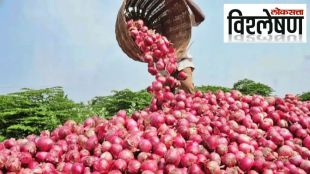 onion vishleshan