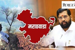 marathwada, drought, farmers suicide, political leaders, irrigation projects