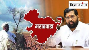 marathwada, drought, farmers suicide, political leaders, irrigation projects